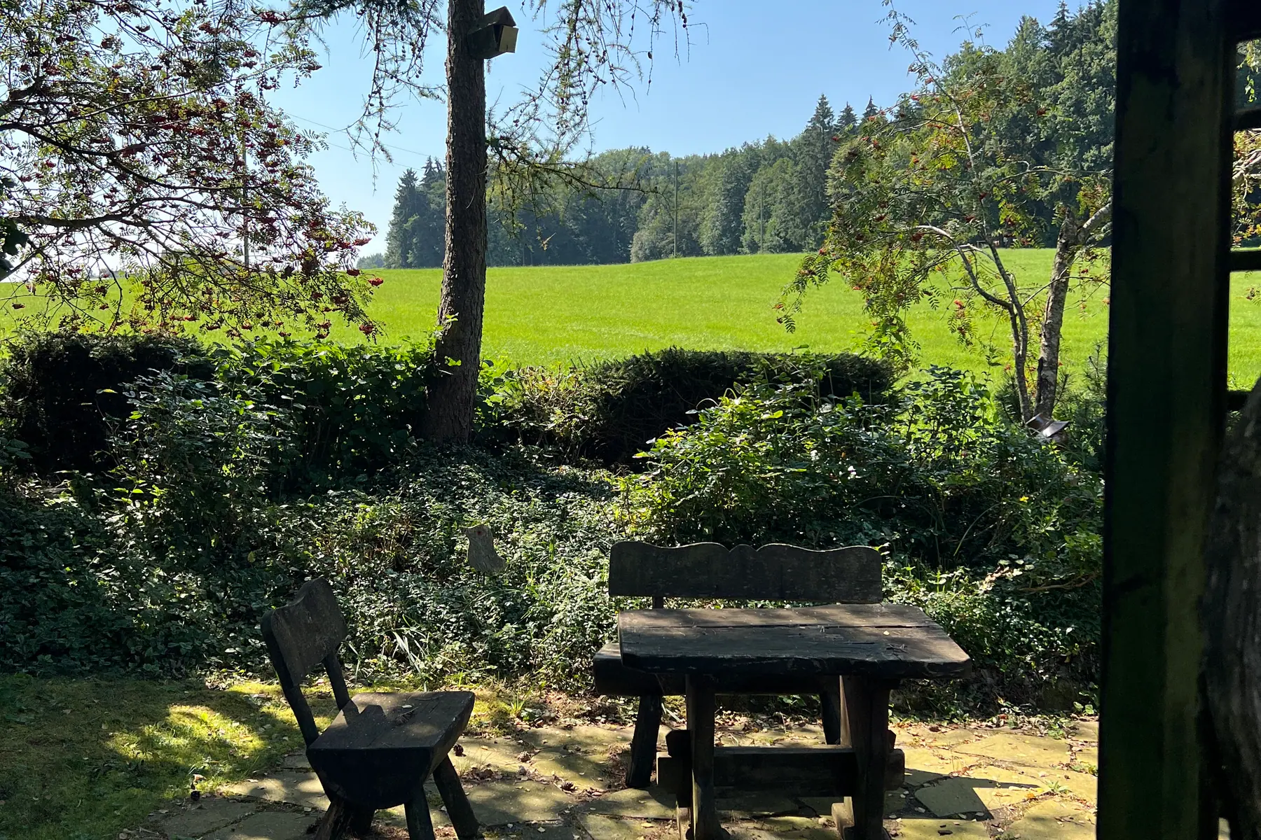 Blick durch die Pergola über Wiesen bis zum Wald