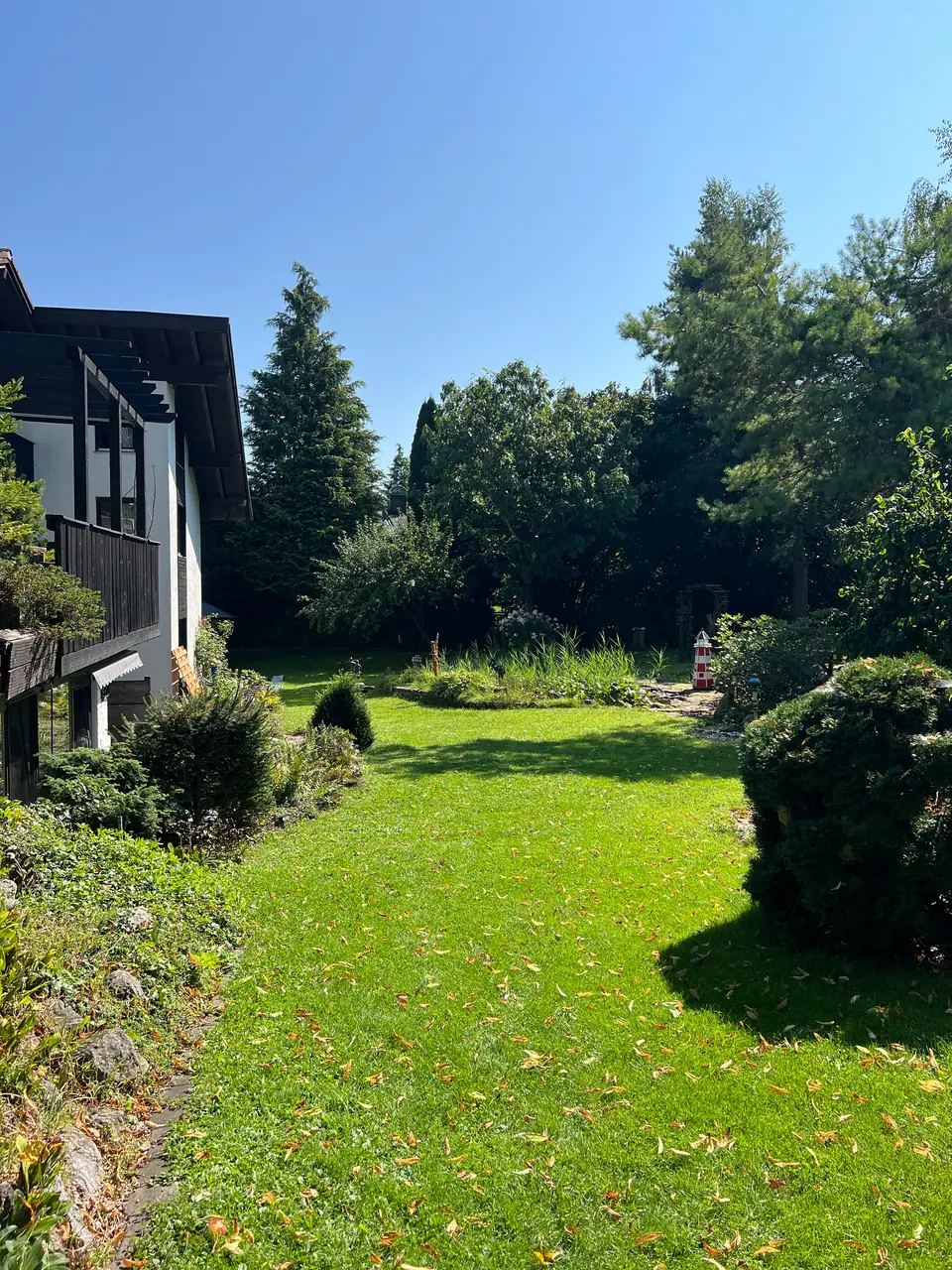 Große Rasenfläche hinter dem Haus