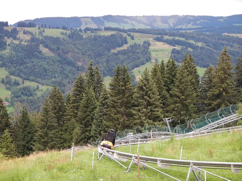 Alpsee Coaster